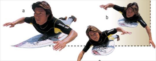 �]�������l�C�T�[�t�B���X�N�[���̏��S�҂��T�[�t�B�����͂��߂邽�߂̃R�c